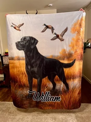 William Towel